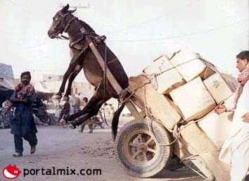 Mascota de los drows, Aqui esta el pobre vehiculo transportador de equipo despues de una incursion a takome