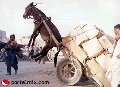 Mascota de los drows, Aqui esta el pobre vehiculo transportador de equipo despues de una incursion a takome