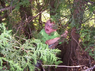 Ogres in the Trees, Ladylove teach Little Ogre  to Treewalk like the Elfs