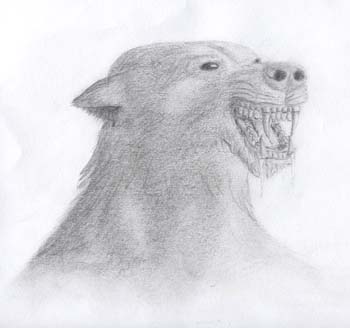 Tundra, argh