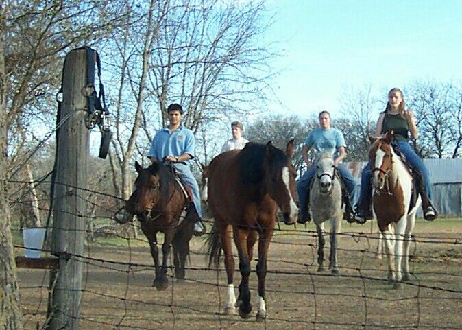 Horseback Riding - Cleburne, TX, Medusa and friends