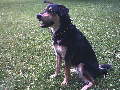 Me again, Isn't she beautiful?