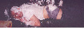 Mudparty USA 2002, Brynn after a night of partying with Drezden... Americans just cant hang!