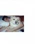 Prophecy & Maggie, My dog and I