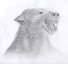 Tundra, argh