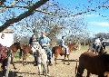 Horseback Riding - Cleburne, Tx, Scag, Medusa and Friends