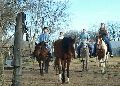 Horseback Riding - Cleburne, TX, Medusa and friends