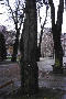 On the way to df... (walls in the background, or whatever =)), What's this? Heilpax, Bloodmoon and Maragrim hiding behind a tree.. preying on zilla...