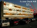Cotton Duck Hill - Location, 